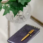 Lejlighed Royal Kopernika By Renters Prestige *